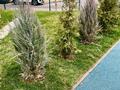 2-бөлмелі пәтер · 48.3 м² · 13/15 қабат, Райымбека 210 — Ауэзова, бағасы: 41 млн ₸ в Алматы — фото 26