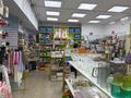 Свободное назначение, магазины и бутики · 100 м² за 400 000 ₸ в Астане, р-н Байконур — фото 2