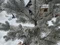 Дом · 4 комнаты · 50 м², Центральная 8 за 31 500 ₸ в Новой бухтарме — фото 27