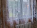 Отдельный дом · 4 комнаты · 120 м² · 20 сот., Забелина 115 за 39 млн ₸ в Ушаново — фото 11