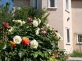 Отдельный дом · 5 комнат · 240 м² · 7 сот., 6улица.ближе на дорогу.рядом остановка.школа.садик.магазины.супер маркет алтын фуд.парехм.и тд за 26.5 млн ₸ в Атамекене