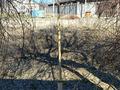 Участок · 10 соток, Район Жастар 2 за 10.5 млн ₸ в Талдыкоргане — фото 6