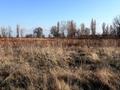 Жер телімі · 8 сотық, Қаскелең, бағасы: 7 млн ₸ в Каскелене — фото 2