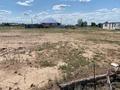 Участок · 10 соток, Динмухамета Кунаева 14/1 за 5 млн ₸ в Жалтырколе — фото 4
