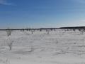 Участок · 33.3 га, Арман 116 — Вдоль международной трассы Е123 Астана-Челябинск за 880 млн ₸ в Мичуринское — фото 9
