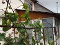 Отдельный дом · 4 комнаты · 120.4 м² · 6 сот., 2-я 65 за 40.5 млн ₸ в Туздыбастау (Калинино) — фото 36