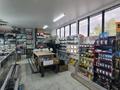 Продаётся готовый, действующий бизнес (магазин электротоваров) · 60 м² за ~ 10 млн ₸ в Кентау — фото 9