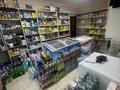 Магазины и бутики • 53 м² за 26 млн 〒 в Шымкенте, Аль-Фарабийский р-н — фото 10
