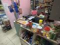 Магазины и бутики • 53 м² за 26 млн 〒 в Шымкенте, Аль-Фарабийский р-н — фото 12