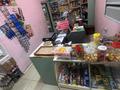 Магазины и бутики • 53 м² за 26 млн 〒 в Шымкенте, Аль-Фарабийский р-н — фото 14