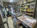 Магазины и бутики • 53 м² за 26 млн 〒 в Шымкенте, Аль-Фарабийский р-н — фото 5