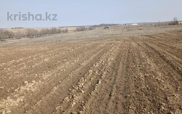 Жер телімі · 2 га, По Бакату, бағасы: 230 млн ₸ в Кемертогане — фото 2