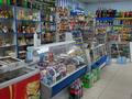 Магазины и бутики · 71.2 м² за 18 млн ₸ в Сарани