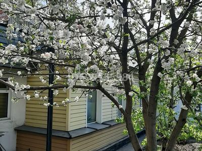 Часть дома · 5 комнат · 52 м² · 3 сот., Уранхаева 84 — Ишикеева за 14.5 млн 〒 в Семее