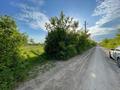 Участок · 20 соток, Барса за 6.8 млн ₸ в  — фото 7