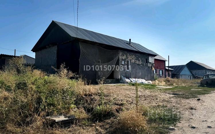 Дача · 3 комнаты · 60 м² · 8 сот., Багдаршам 141 — Магазин Магнит за 22 млн ₸ в Байтереке (Новоалексеевке) — фото 19