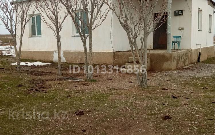 Ауыл шаруашылығы · 220 м², бағасы: 150 000 ₸ в Туркестанской обл., Шаян — фото 2