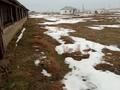 Ауыл шаруашылығы · 220 м², бағасы: 150 000 ₸ в Туркестанской обл., Шаян — фото 5