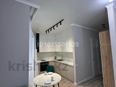 1-бөлмелі пәтер · 49 м² · 12/13 қабат, Сыганак 17, бағасы: 15 000 ₸ в Астане, Есильский р-н