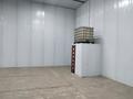 Свободное назначение · 200 м² за 700 000 ₸ в Астане — фото 2