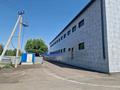 Свободное назначение · 5000 м² за 990 млн ₸ в Кокшетау — фото 7
