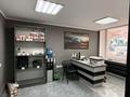Свободное назначение · 1000 м² за 300 млн ₸ в Семее — фото 15