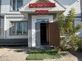 Суши бар/пицца/крылышки · 55 м² за 350 000 ₸ в Каскелене — фото 3
