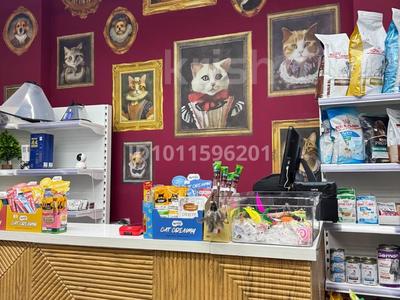 Продаем зоомагазин · 45 м², бағасы: 2 млн ₸ в Астане, Нура р-н