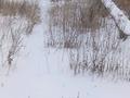 Жер телімі · 8.5 сотық, Мкр 4 улица 9, бағасы: 6.7 млн ₸ в Жибек Жолы — фото 2