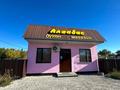 Продуктовый Магазин · 54.3 м² за 11.5 млн ₸ в Талдыкоргане — фото 4