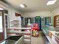 Продуктовый Магазин · 54.3 м² за 11.5 млн ₸ в Талдыкоргане