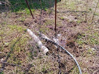 Саяжай · 1 бөлме · 55 м² · 11.5 сот., Қаракат — За Дендро Парком, бағасы: 4 млн 〒 в Арыси