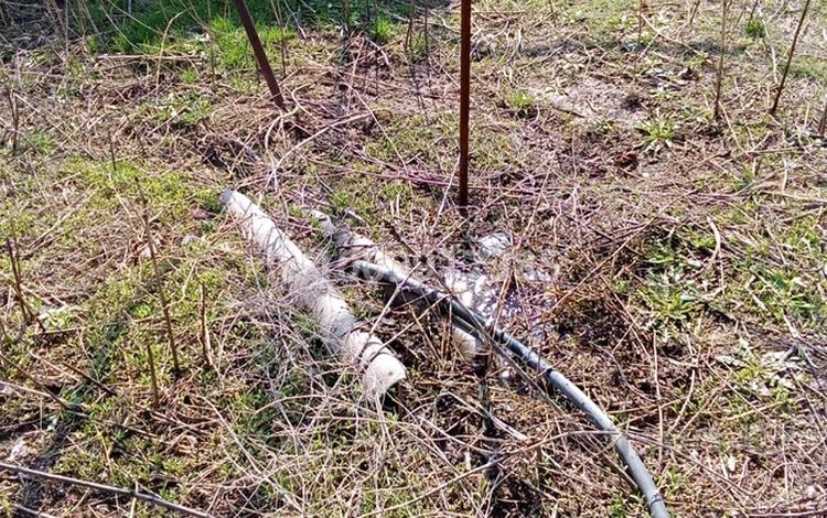 Саяжай · 1 бөлме · 55 м² · 11.5 сот., Қаракат — За Дендро Парком, бағасы: 4 млн 〒 в Арыси — фото 2