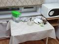 2-бөлмелі пәтер · 44.4 м² · 4/5 қабат, мкр Новый Город, проспект Нуркена Абдирова 47/1, бағасы: 18 млн ₸ в Караганде, Казыбек би р-н — фото 7