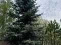 Отдельный дом · 6 комнат · 343 м² · 15 сот., Уалиханова 16 — Возле школы лицей за 79 млн ₸ в Жибек Жолы — фото 15