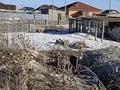 Жер телімі · 10 сотық, Косшы, бағасы: 6.5 млн ₸ — фото 8
