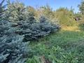 Отдельный дом · 5 комнат · 150 м² · 25 сот., Алматы 27 за 80 млн ₸ в Алматинской обл., Талгарский р-н