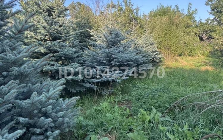 Отдельный дом · 5 комнат · 150 м² · 25 сот., Алматы 27 за 80 млн ₸ в Алматинской обл., Талгарский р-н — фото 2