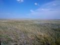Участок · 63.6 га, Район за заправкой гелеус за 95 млн ₸ в  — фото 5