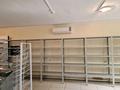 Магазины и бутики • 250 м² за 25 млн 〒 в Чапаеве — фото 4