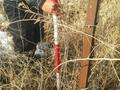Участок · 120 соток, Трасса 12 — Ниже ЦРБ за 21 млн ₸ в Болеке — фото 3