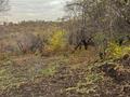 Участок · 34.72 сотки, мкр Горный Гигант, Горный садовод за 25 млн ₸ в Алматы, Медеуский р-н — фото 6