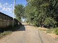 Жер телімі · 80 сотық, Шамалған, бағасы: 260 млн ₸ в Шамалгане
