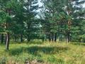 Участок · 12 соток, Щучинский, Бурабай. за 25 млн ₸ в Акмолинской обл. — фото 11