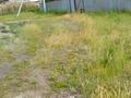 Участок · 12 соток, Щучинский, Бурабай. за 25 млн ₸ в Акмолинской обл. — фото 6
