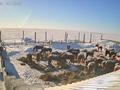 Крестьянское хозяйства базу, ферму, дом, пастбище · 2505 м² за 35 млн ₸ в Экибастузе — фото 15