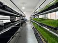 Еркін, кеңселер · 250 м², бағасы: 1 млн ₸ в Алматы, Алатауский р-н