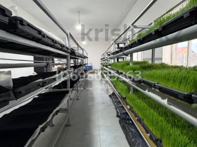 Еркін, кеңселер · 250 м², бағасы: 1 млн ₸ в Алматы, Алатауский р-н