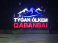 Магазины и бутики · 111 м² за 26 млн ₸ в Ушарале — фото 13