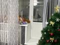3-комнатная квартира · 78 м² · 5/5 этаж, ул. Олжабай батыра 43 — Мира-1мая за 28.5 млн ₸ в Павлодаре — фото 17